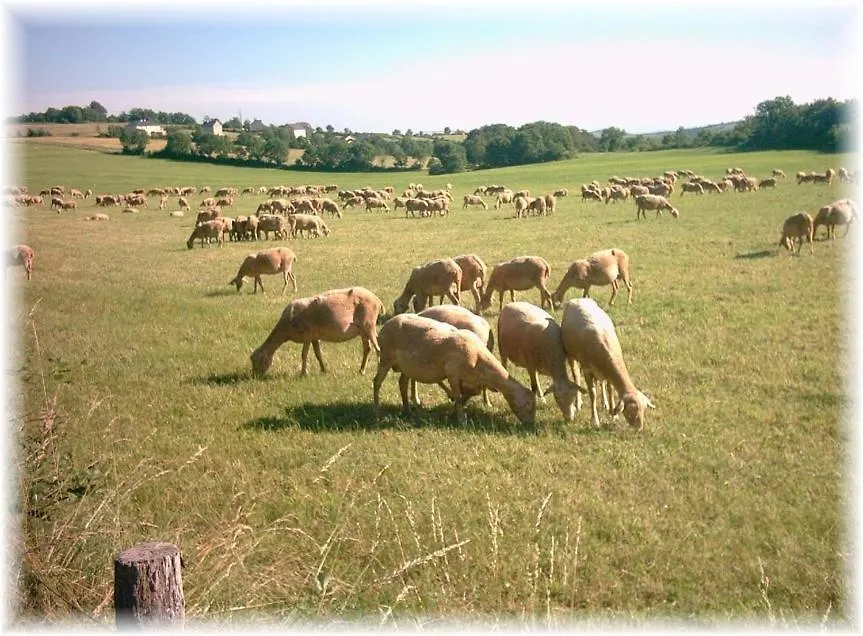 Les Palmiers Des Causses Villa Saint-Rome-de-Tarn 0*,  Frankrijk