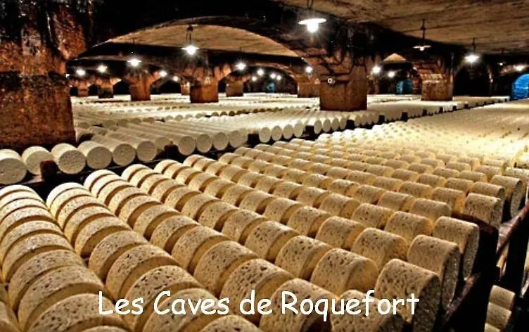 別荘 Saint-Rome-de-Tarn Les Palmiers Des Caussesヴィラ