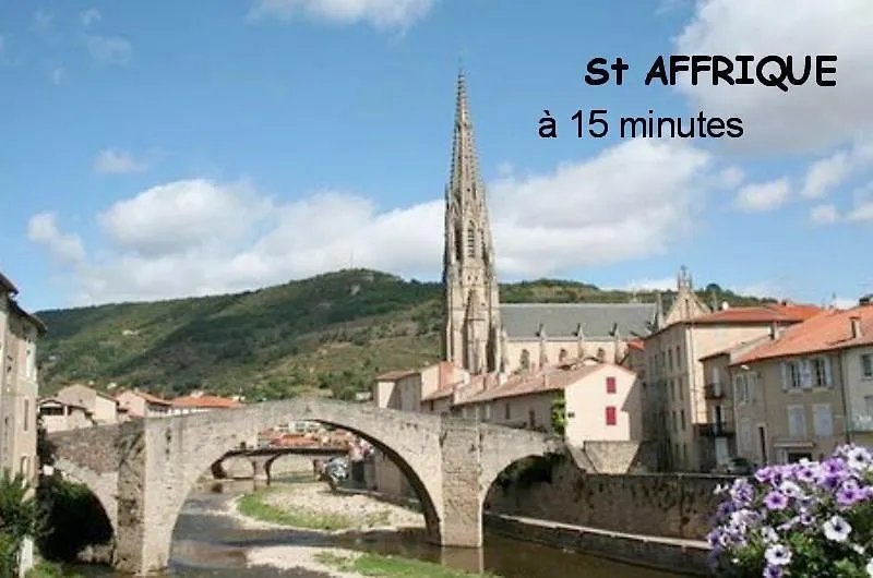 Holiday home Les Palmiers Des Causses Villa Saint-Rome-de-Tarn